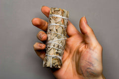 Sauge de purification (1 pièce)