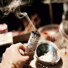 Sauge de purification (1 pièce)